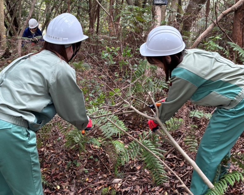 間伐作業の様子