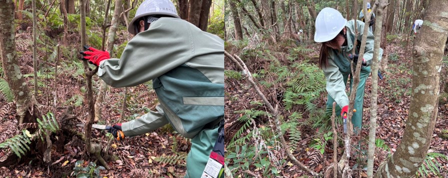 間伐作業の様子