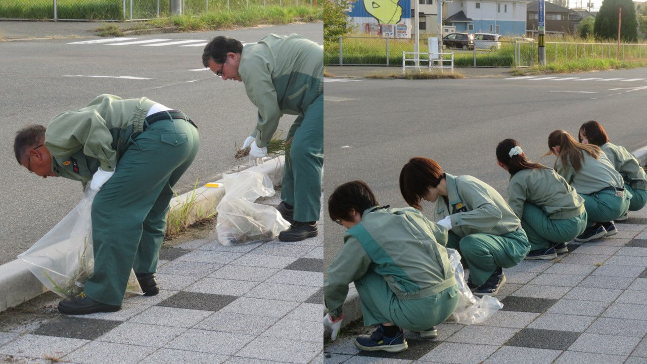 道路沿いの草は根が深く抜くのが大変でした…。